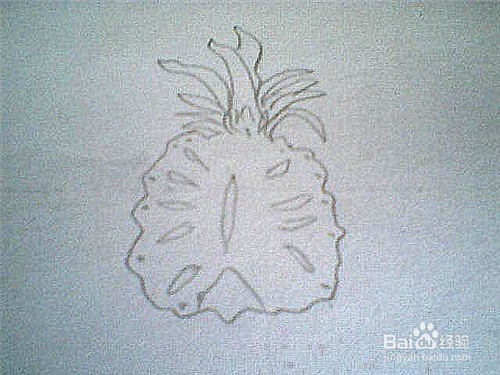 简笔画切开的菠萝这样画