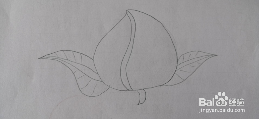 如何画寿桃简笔画？