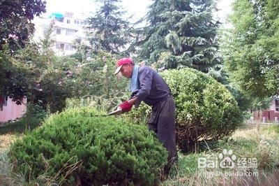 小区保洁工作如何计件