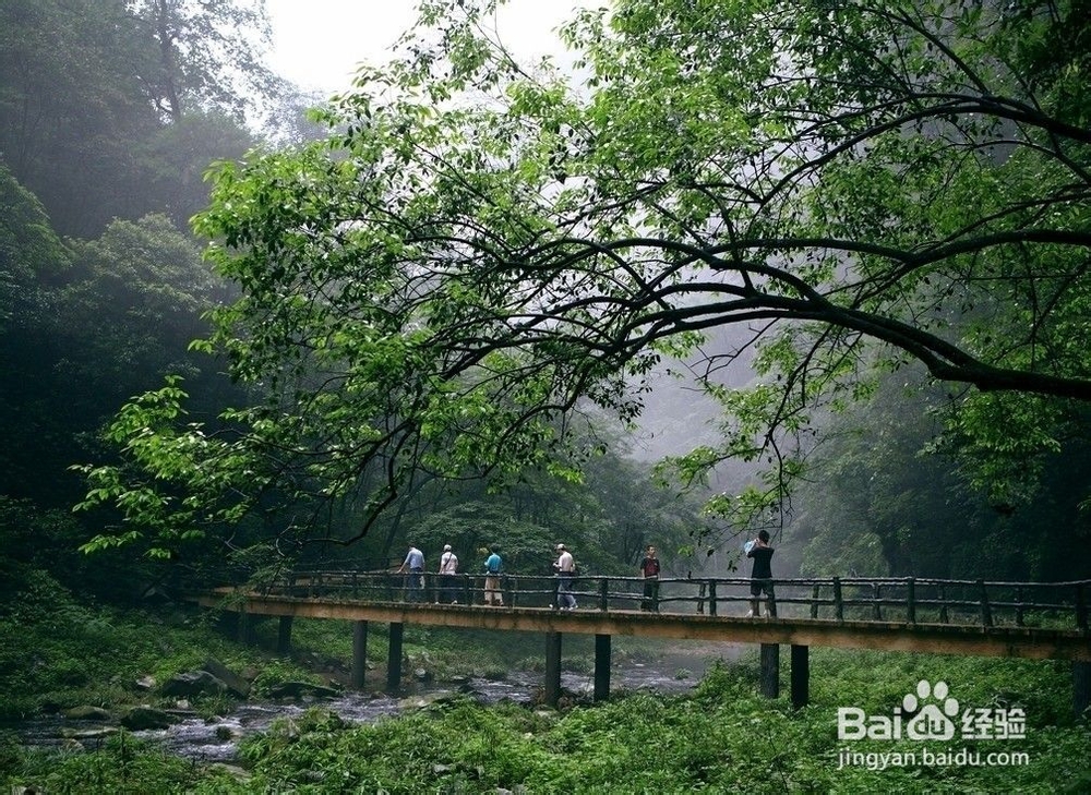 张家界旅游住宿