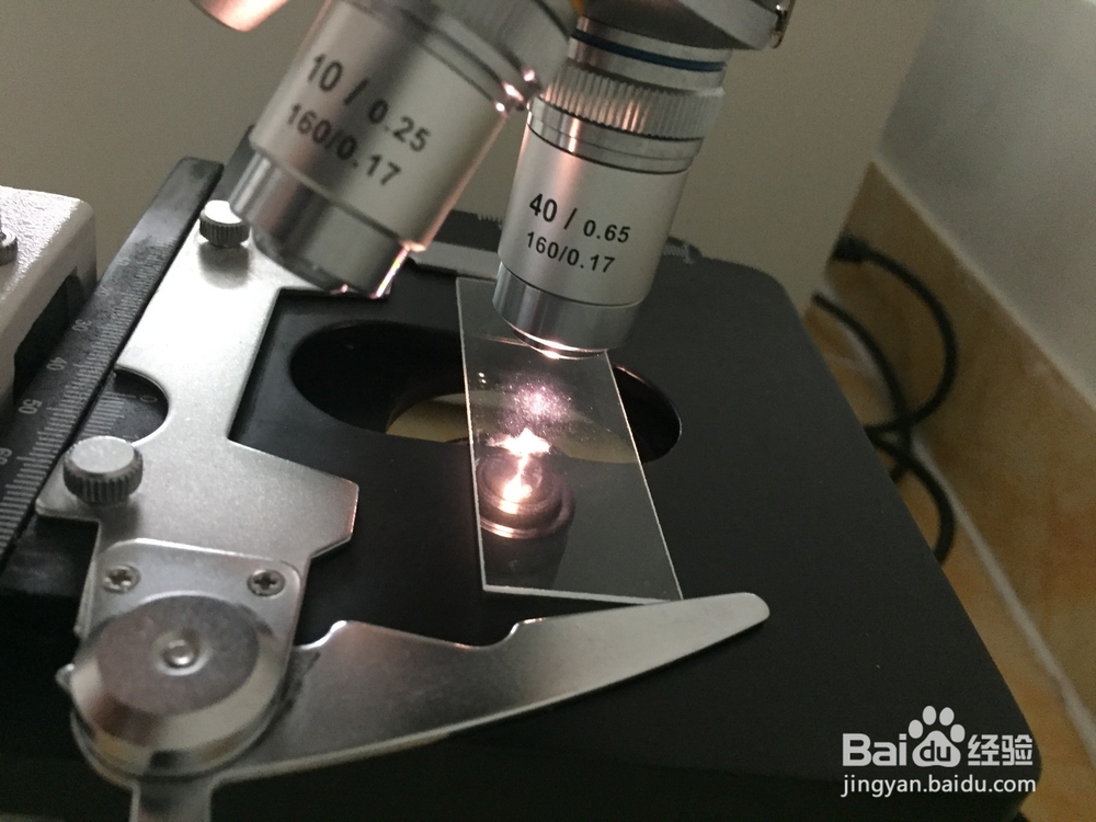 显微镜的使用视频