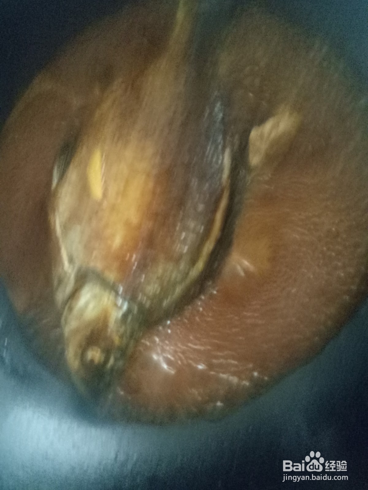 好吃的红烧鱼怎么做