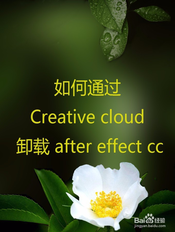 <b>如何通过 Creative cloud 卸载 after effect cc</b>