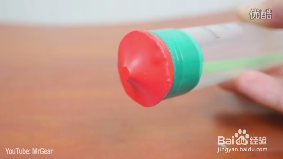 动物的发声器