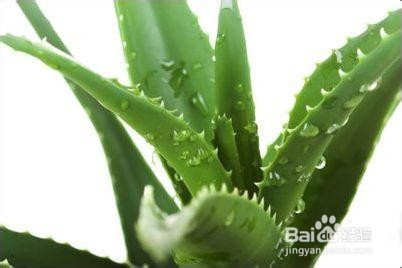 夏天脸上皮肤干怎么办