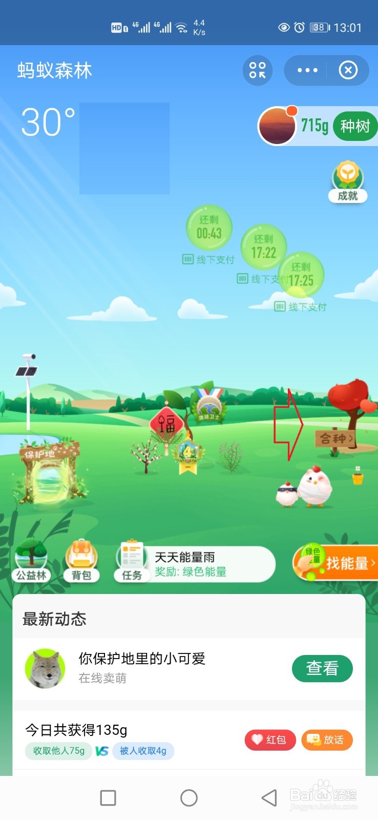 蚂蚁森林合种怎样浇水