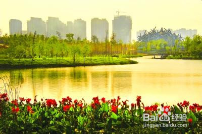 合肥滨湖景点盘点