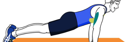 钻石俯卧撑的正确做法