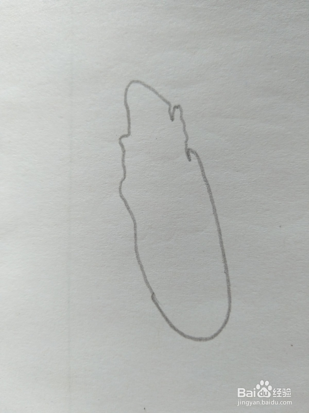 儿童简笔画白菜画法九