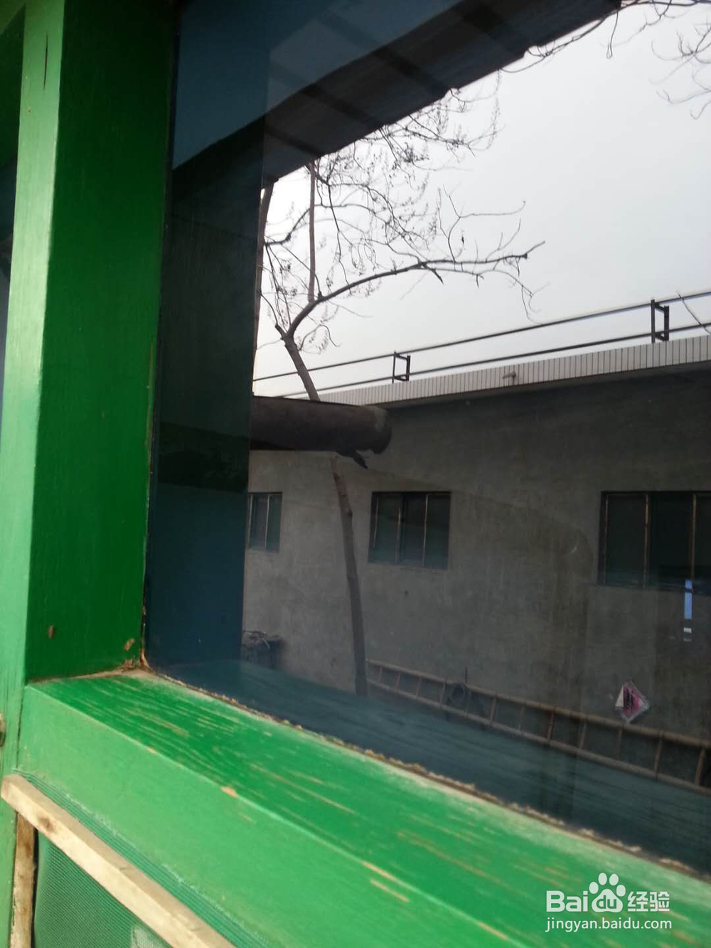 过年如何擦玻璃