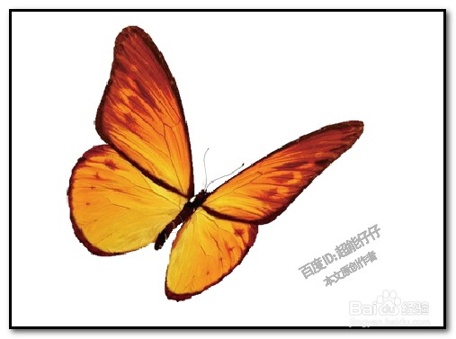 illustrator钢笔工具怎么用 AI如何用钢笔描图形