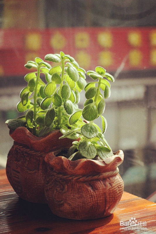 天津津门故里游记攻略