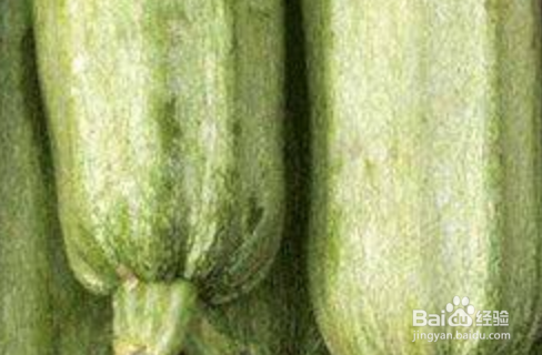 西葫芦用不用去皮