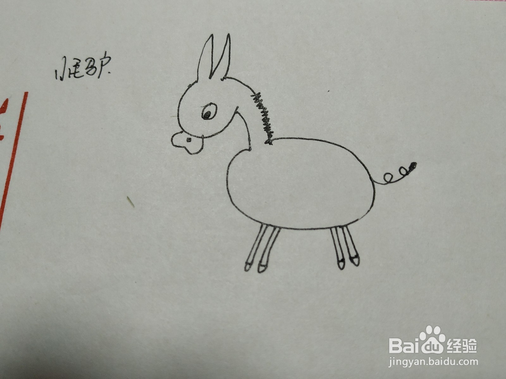 小毛驴简笔画怎么画呢