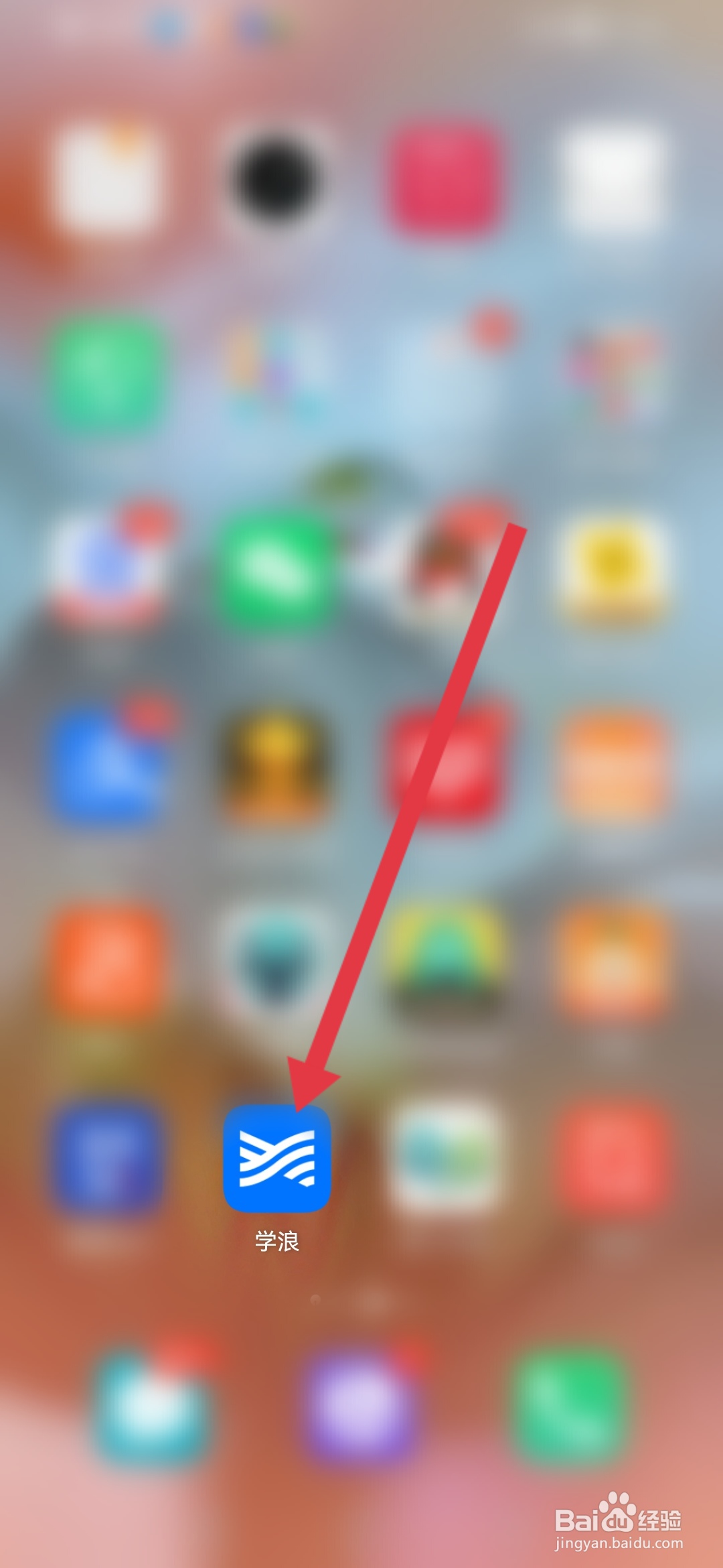 学浪怎么查看入驻老师需要什么条件