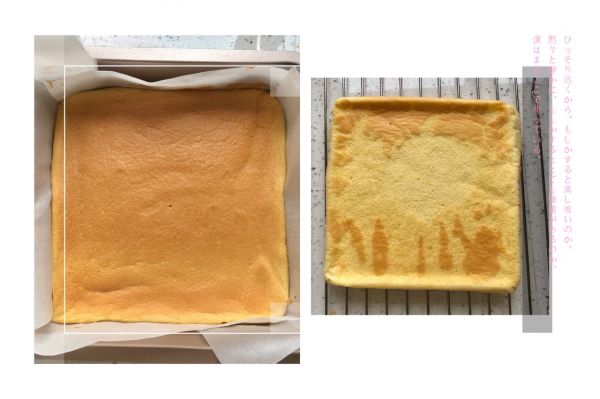 过气网红豆乳盒子