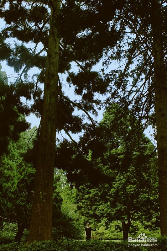 用卡片机也能拍出单反的效果