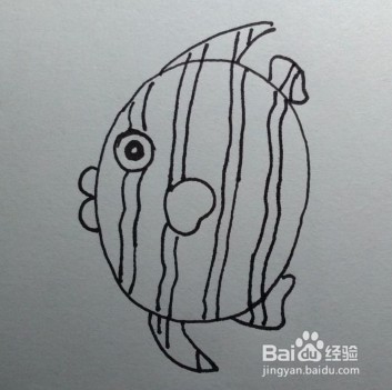 亲子简笔画，热带鱼简笔画法