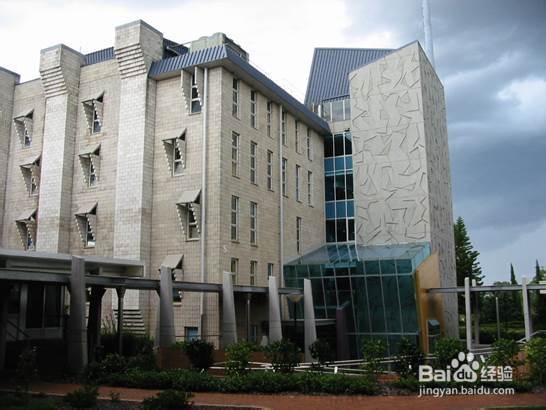 学院街攻略：[54]南昆士兰大学图书馆攻略