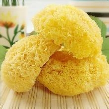 彻底改善肌肤质地,除皱抗衰秘法