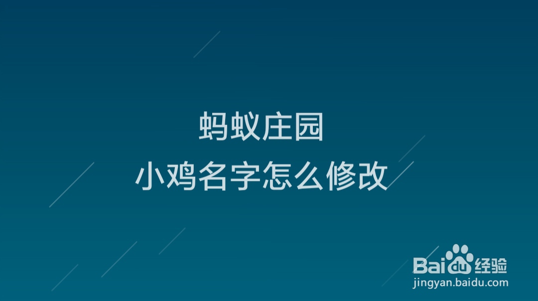 蚂蚁庄园小鸡名字怎么修改