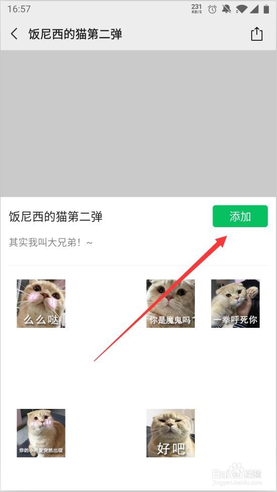 微信如何获得猫咪表情包