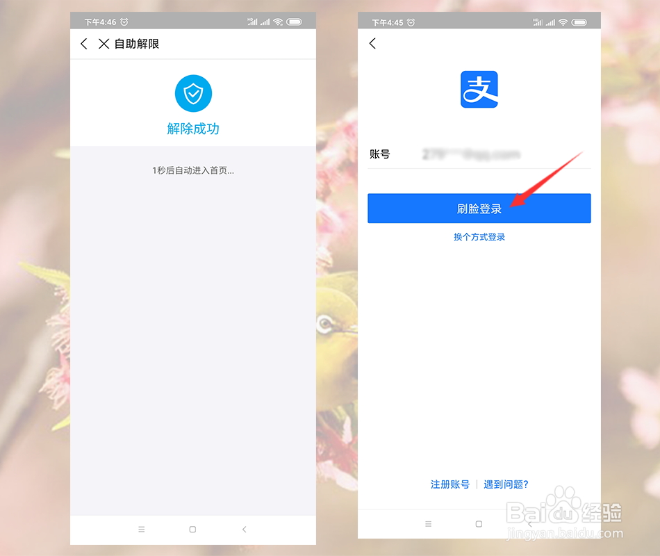 支付宝账号冻结怎么解冻
