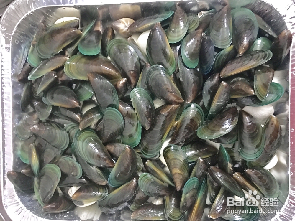 自己做清蒸青口白贝海鲜美食