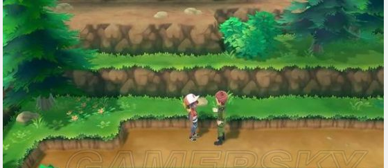 switch精灵宝可梦 攻略