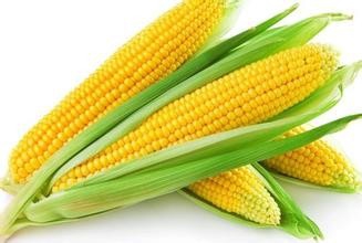 男人四十怎样做好养肾工作?