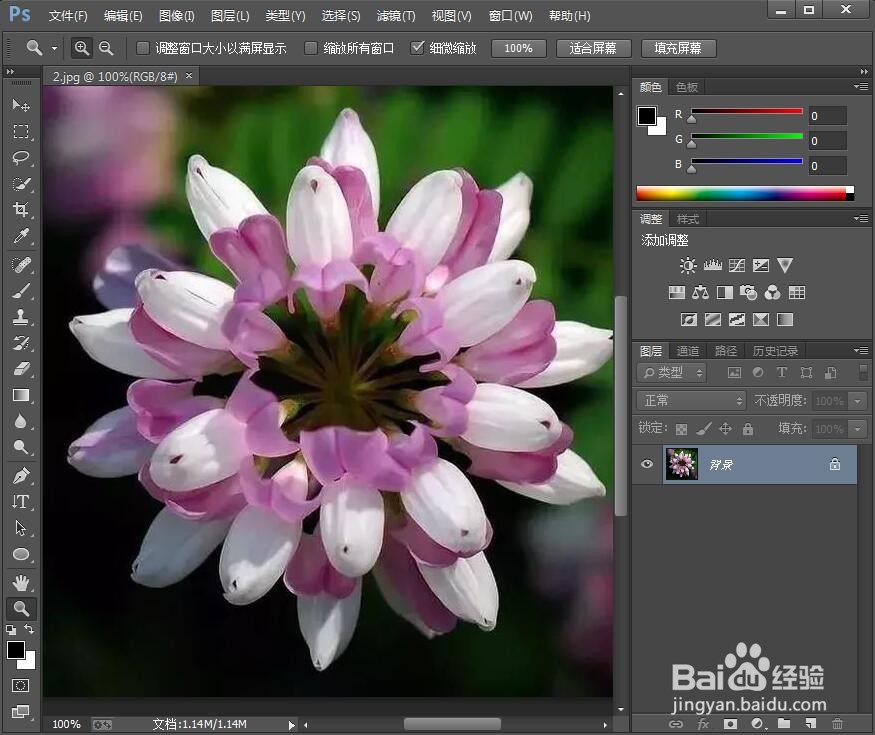 怎样在ps中给图片添加海绵和油画效果
