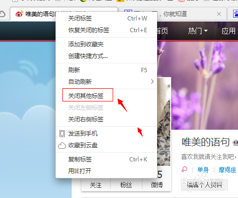 如何快捷的准确的关闭网页-360浏览器