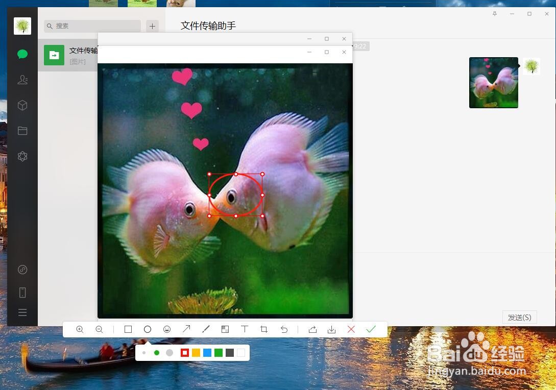 电脑微信如何对图片进行椭圆形标注