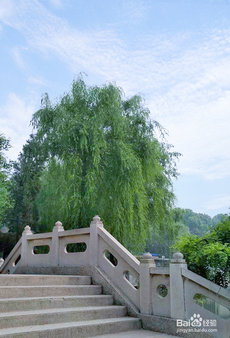 [photoshop教程]照片处理