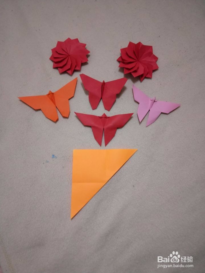 工艺美术馆：蝴蝶花园。