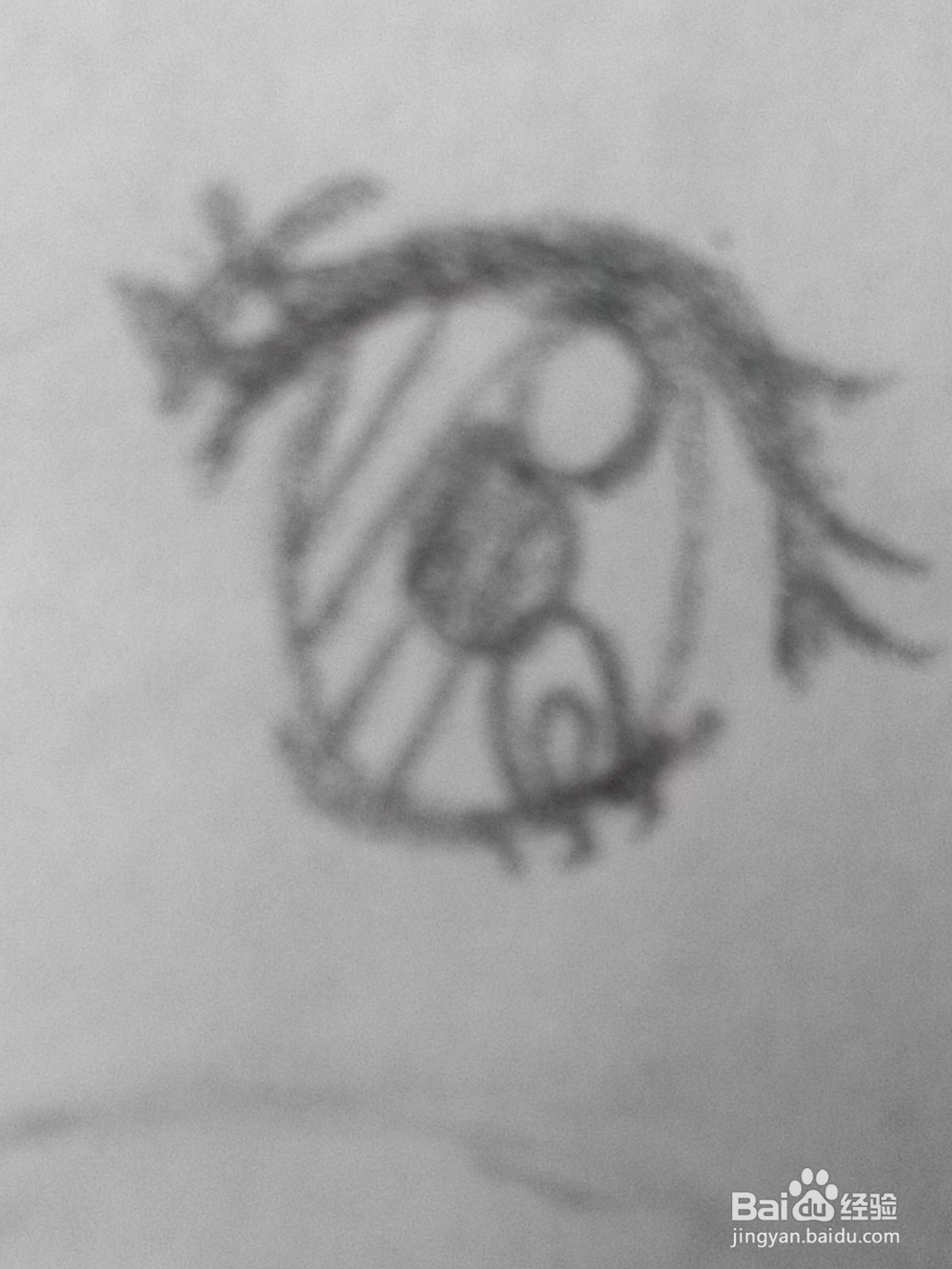 原创动漫人物的眼睛十