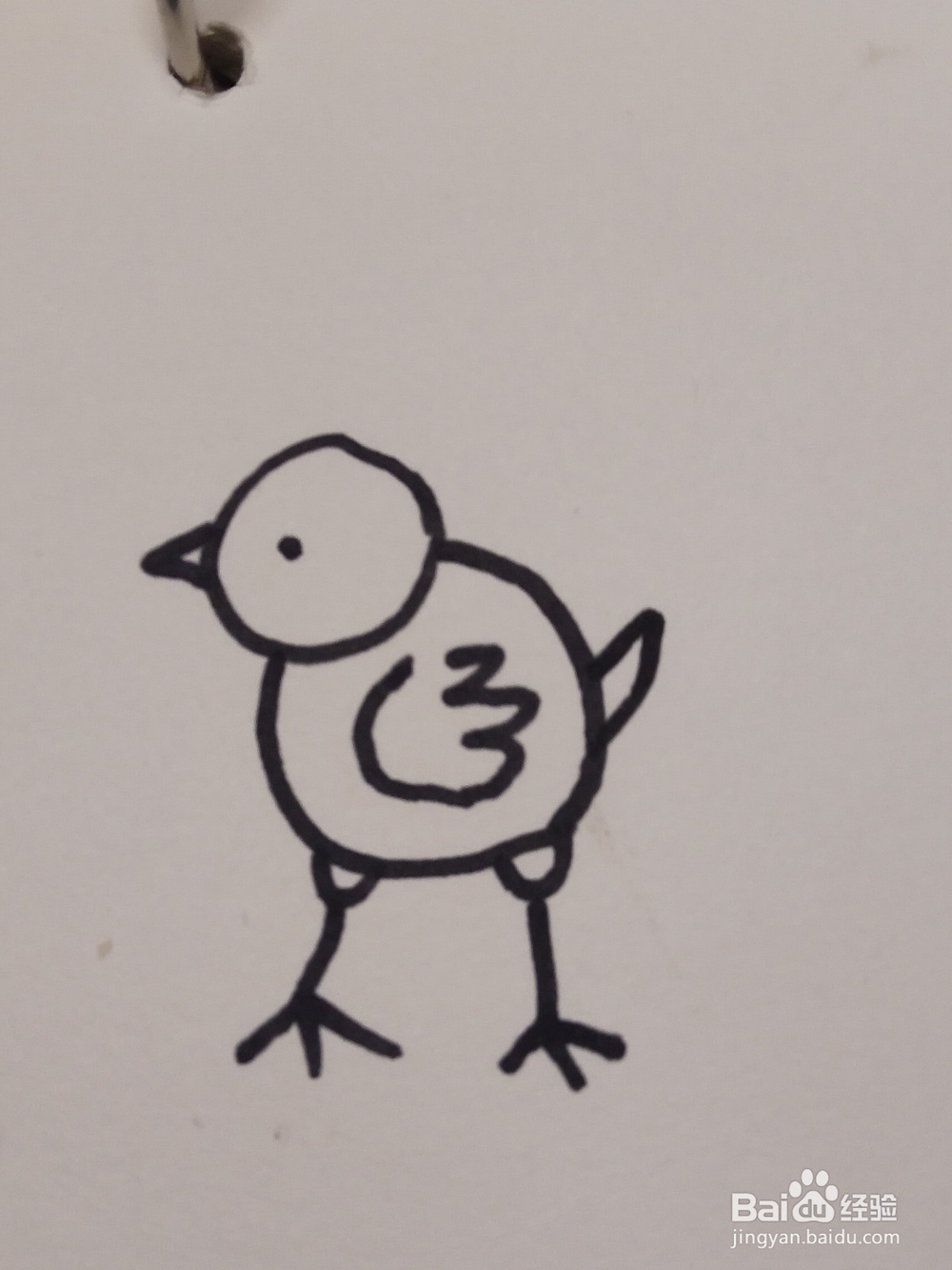<b>怎么画简笔画卡通动物简约版之小鸡</b>
