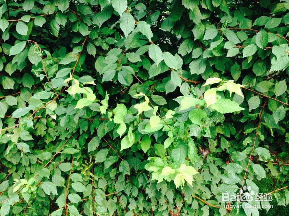 如果你的朋友虚荣心很强怎么办呢?