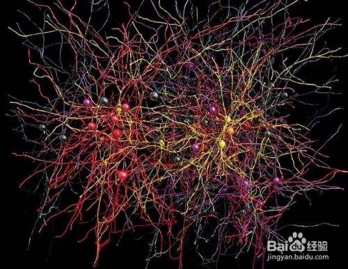 神经网络如何识别视频