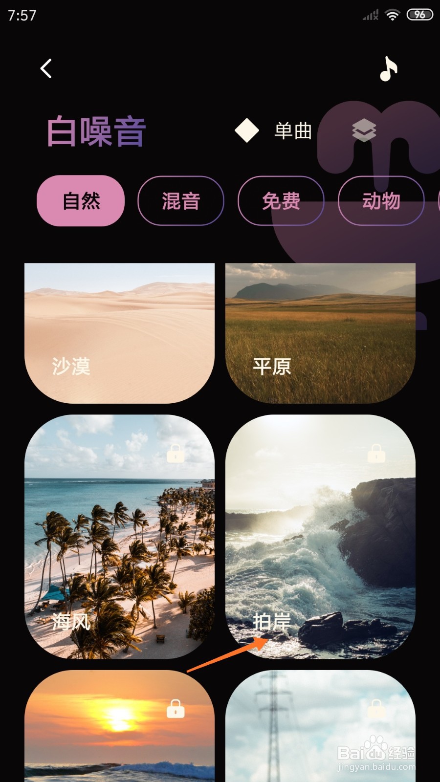 樱桃睡眠中哪里播放拍岸