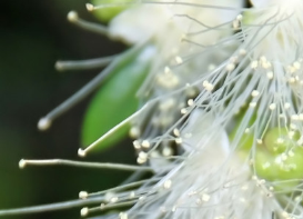 谈恋爱的几个要点