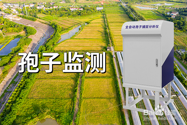 孢子监测的优势及广泛应用