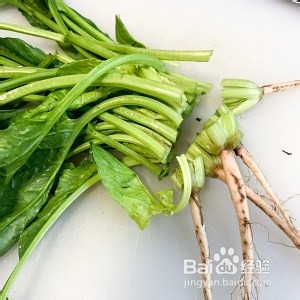 韩式辣酱凉拌菠菜怎么做