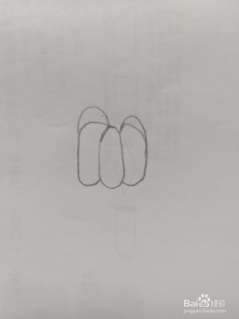 简笔画山竹画法4