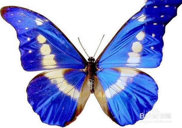 PS特效灯影艺术照