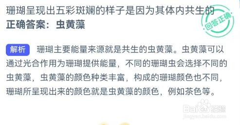 珊瑚呈现出五彩斑斓的样子是因为其体内共生的