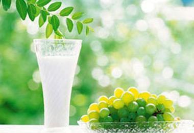 纤细身材只需一天3杯牛奶