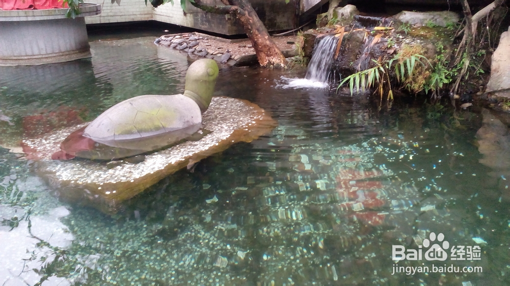 肇庆鼎湖山游记