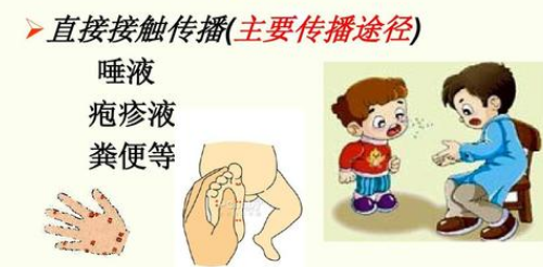 汉坦病毒传播途径有哪些 汉坦病毒主要传播途径