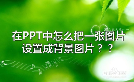 <b>在PPT中怎么把一张图片设置成背景图片</b>